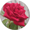 Sudheerkumar Karra profile picture